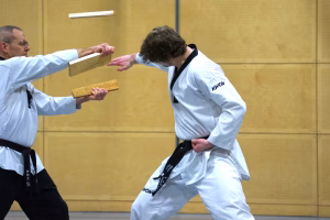 Bruchtest Taekwondo Bruchtest Taekwondo