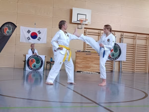 Taekwondo